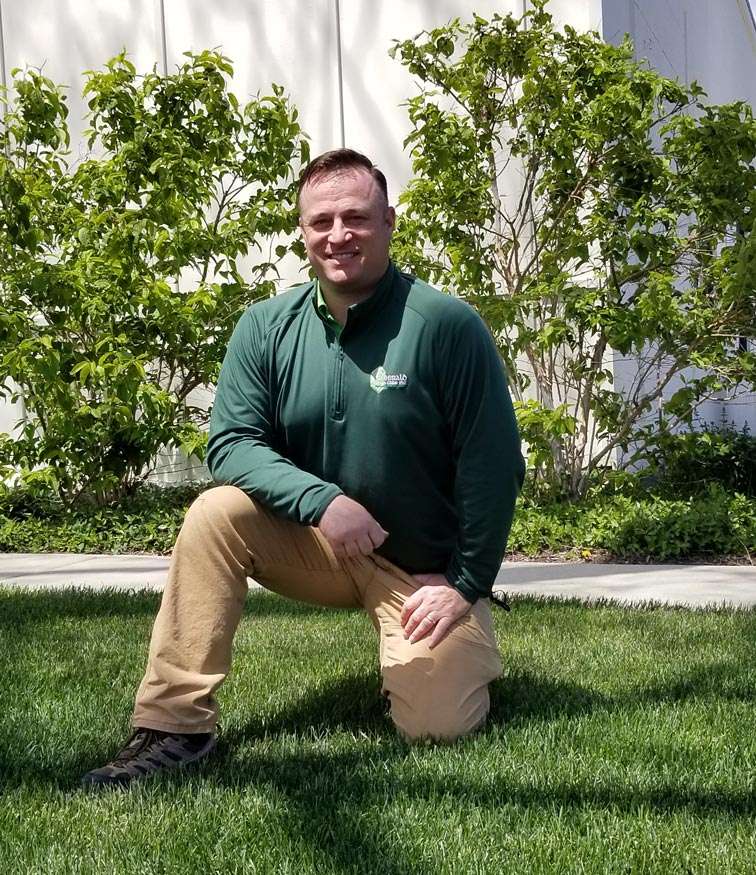 Emerald Lawn Care Rolling Meadows Emerald Lawn Care